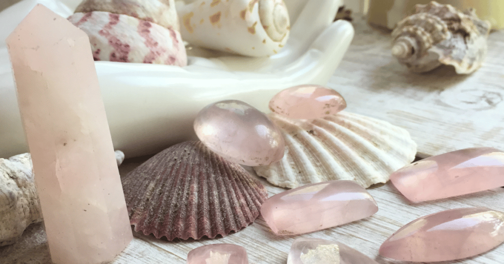 rose quartz sea shells